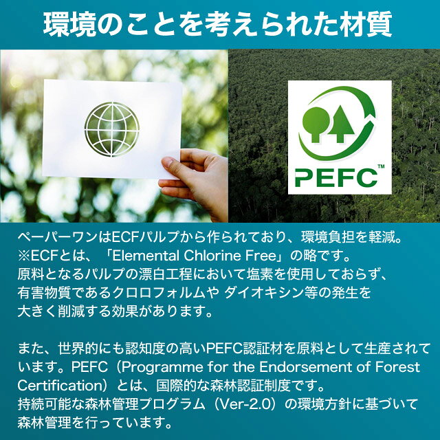 コピー用紙 A4 5000枚(500枚×10冊)ペーパーワン（PAPER ONE） 高白色 カーボンニュートラル プロデジ高品質 保存箱仕様 PEFC認証 用紙 OA用紙 印刷用紙 無地《商品到着後、レビュー書いて次回使えるクーポンプレゼント》『送料無料（一部地域除く）』
