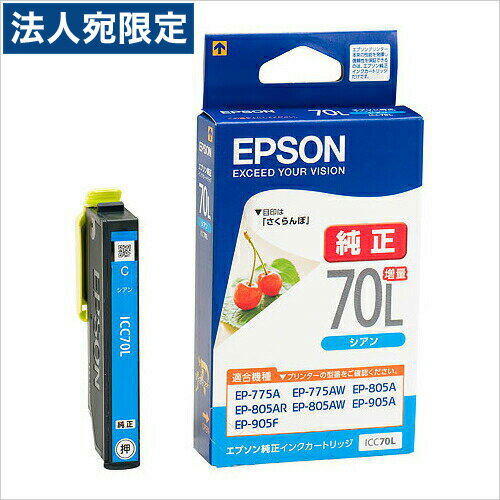 ICC70L EPSON 순정 잉크 70 시안