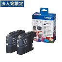 LC111BK-2PK ブラザー ブラック 2個 純正 インク 111(2)