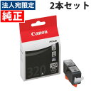 BCI-320PGBK キヤノン ブラック 純正 インク 320 2箱セット