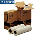 RHA4-VT マスター 2本セット RICOH『送料無料(一部地域除く)』