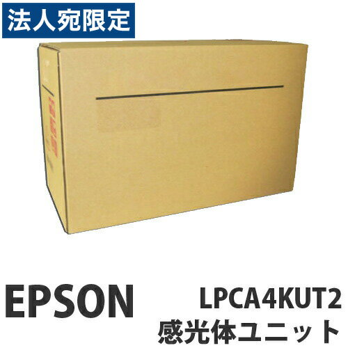 LPCA4KUT2 ėpi EPSON Gv\wsxwiꕔn揜jx