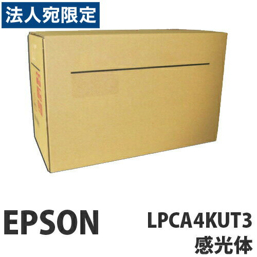 LPCA4KUT3 i EPSON Gv\wsxwiꕔn揜jx