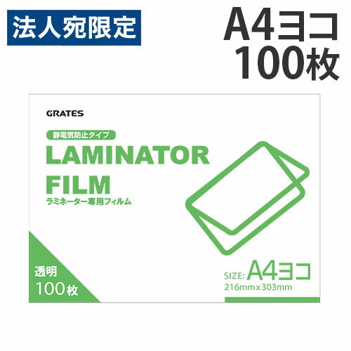 ߥ͡ȥե A4  100 100