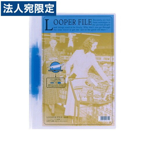 ��ҥȥ�� �롼�ѡ��ե�����A4��������6mm F-3006 ��