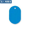 『取寄品』共栄プラスチック プラスチック番号札(無地 番号なし) 大 1箱50枚入 無地 スカイ NO.16C-159015(3)