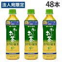 おーいお茶 カテキン緑茶 500ml 48本 伊藤園 お〜いお茶『送料無料(一部地域除く)』(4)