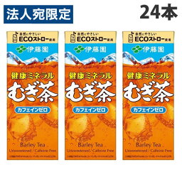 伊藤園 健康ミネラル麦茶 250ml×24本