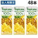 キリン トロピカーナ 100% パインアップル 250ml×48本 飲料 KIRIN ジュース ペットボトル フルーツジュース『送料無料(一部地域除く)』(4)