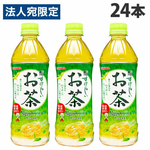 サンガリア すばらしいお茶 500ml×24本 飲料 ペットボトル お茶 緑茶 日本茶 水分補給 お茶会