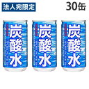 炭酸水 185ml 30缶 サンガリア