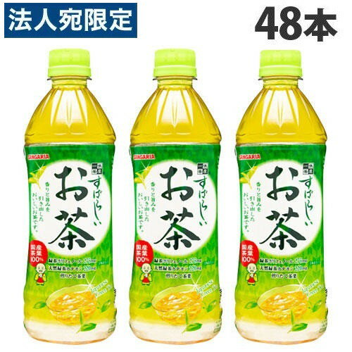 Ф餷 500ml 48 󥬥ꥢ