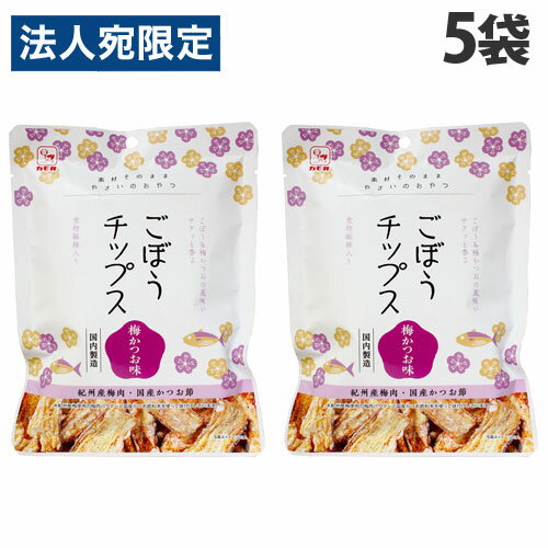 カモ井食品 ごぼうチップス 梅かつお味 24g×5袋 お菓子 おつまみ 牛蒡 野菜チップス 野菜スナック