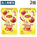 リプトン 紅茶 ティーバッグ アップル 15袋入 2個