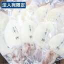 シーライフ 剣先イカ・スルメイカの食べ比べセット 干物 加工品 魚介類 食品 産地直送 イカ 食べ比べ『代引不可』『送料無料(一部地域除く)』