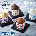 Galler(ガレー) プレミアムアイスクリーム 12個セット ギフト 贈答品 贈り物 スイーツ デザート アイス ガレー 『日時指定不可』『代引不可』『送料無料（一部地域除く）』