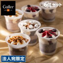 Galler(ガレー) チョコレートアイスパルフェ 6個セット ギフト 贈答品 贈り物 スイーツ デザート アイス ガレー 『日時指定不可』『代引不可』『送料無料（一部地域除く）』