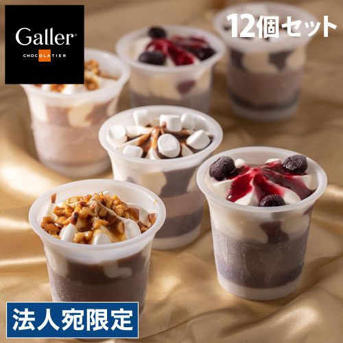 Galler(ガレー) チョコレートアイスパルフェ 12個セット ギフト 贈答品 贈り物 スイーツ デザート アイス ガレー 『日時指定不可』『代引不可』『送料無料（一部地域除く）』