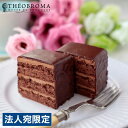 テオブロマ ケイクショコラ 2個セット ギフト 贈答品 贈り物 スイーツ デザート ケーキ 『日時指定不可』『代引不可』『送料無料(一部地域除く)』