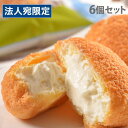 乳蔵 シュークリーム 6個入 ギフト 贈答品 贈り物 シュークリーム 洋菓子 スイーツ『代引不可』『送料無料(一部地域除く)』
