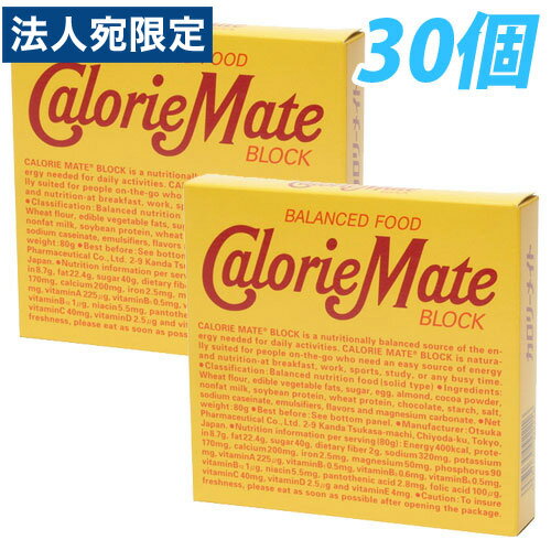 大塚製薬 カロリーメイト ブロック チョコレート味 4本×30個『送料無料（一部地域除く）』