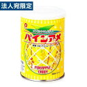 パイン パインアメ 缶 90g 飴 あめ キャンディ キャンディー パイナップル フルーツ飴