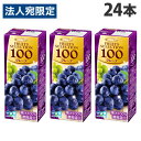 フルーツセレクション グレープ100% 200ml 24本 エルビー ぶどうジュース