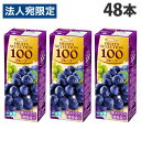 フルーツセレクション グレープ100% 200ml 48本 エルビー ぶどうジュース『送料無料(一部地域除く)』