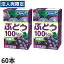 ぶどう100% 125ml 60本 エルビー ぶどうジュース グレープ『送料無料(一部地域除く)』