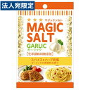 エスビー 袋入りマジックソルト ガーリック 20g