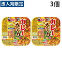 五木食品 鍋焼カレーうどん 220g×3個