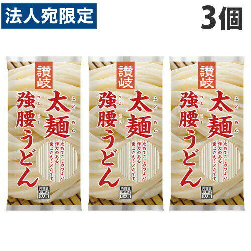 さぬきシセイ 讃岐太麺強腰うどん 600g×3個 乾麺 うどん