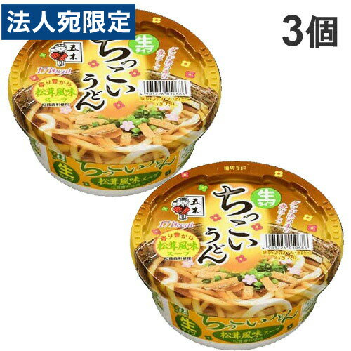 五木食品 ちっこいうどん 松茸風味 110g×3個