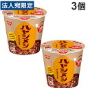 日清食品 ハヤシメシ デミグラス 103g×3個