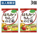 ノーベル製菓 はちみつりんごのど飴 110g×3個
