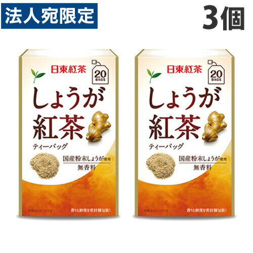 日東紅茶 しょうが紅茶 ティーバッグ 20袋入×3個 紅茶 生姜 あったかい 温活 冷えとり