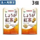 日東紅茶 しょうが紅茶 ティーバッグ 20袋入×3個 紅茶 生姜 あったかい 温活 冷えとり