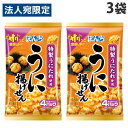 ぼんち 4パック海鮮揚煎 うに揚げせん 64g×3袋 お菓子 おかき 米菓 あげせん 揚げせん 煎餅 せんべい