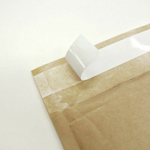 ���󤷤����� ���եƥ��饤�� �㿧 B5������ 1���ξ�̥ơ����ա� ���å��������