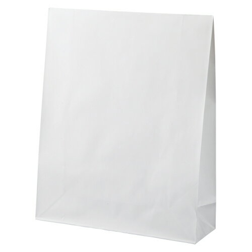 宅配ギフトバッグ(マチ付封筒)【管公工業】M011