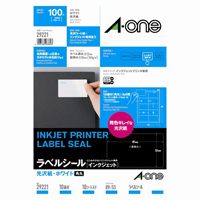 IJ光沢紙ラベル 29221 A4/名刺10面 10枚【エーワン】 IJ光沢紙ラベル 29221 A4/名刺10面 10枚【エーワン】