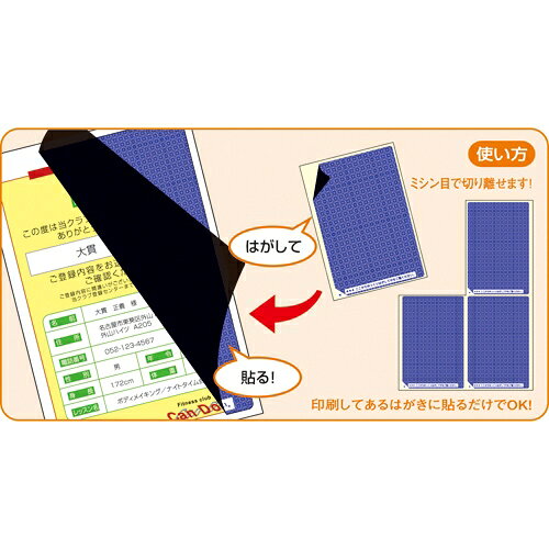 情報を保護する目隠しラベル GB2401 はがき/4面 50枚
