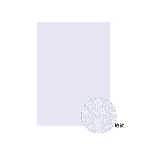 【ゆうパケット対応可】コピー偽造予防用紙入数110枚[ヒサゴ]BP2060