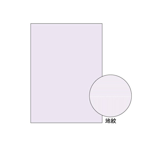 B5 Size Paper - コピー偽造予防用紙入数1000枚[ヒサゴ]BP2110Z