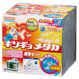 キンギョ・メダカ飼育セット【コトブキ工芸】