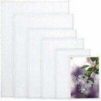 ǼʪμФ饯饯ʥѥ ST-B1-SV B1 ڥơ ڥ᡼ľʡۡڻֻԲġԲġۡʿΤߡ