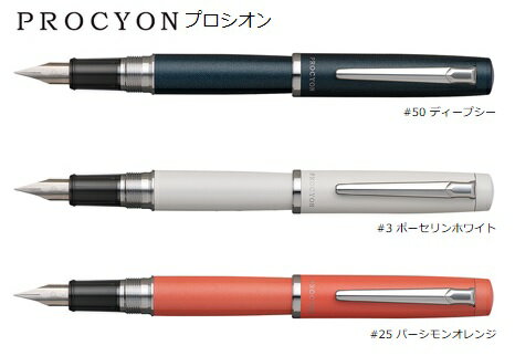 プラチナ万年筆 万年筆プロシオン(PROCYON)　細字　軸色3色【プラチナ万年筆】PNS-5000#□-2