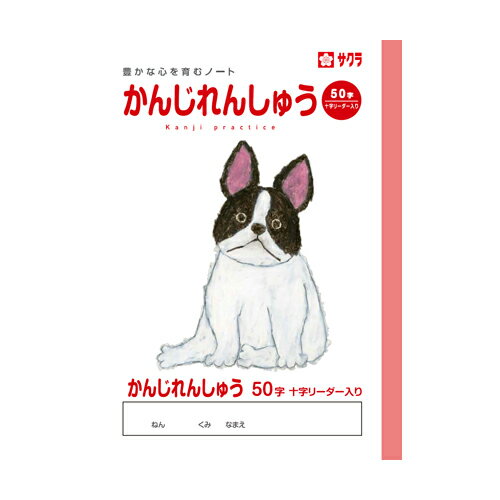 学習ノート学習帳 漢字練習 B5【サ