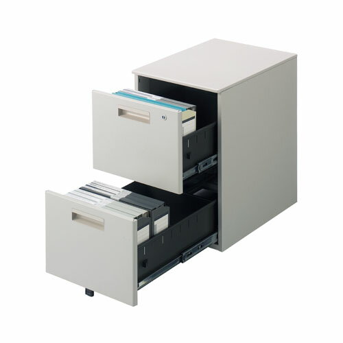 キャビネット2段 GT-462SC WG【FIRST-G】【メーカー直送品】【時間指定不可・夜間配送不可】【平日配送のみ】 [2]