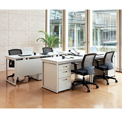 キャビネット2段 GT-462SC WG【FIRST-G】【メーカー直送品】【時間指定不可・夜間配送不可】【平日配送のみ】 [3]